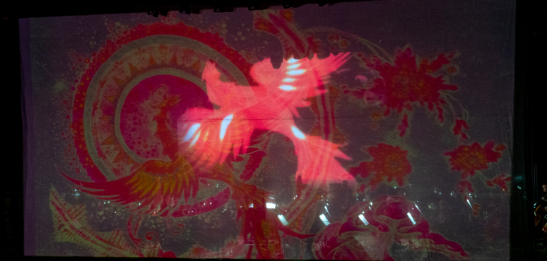 Жар-Птица пролетела, перо обронила